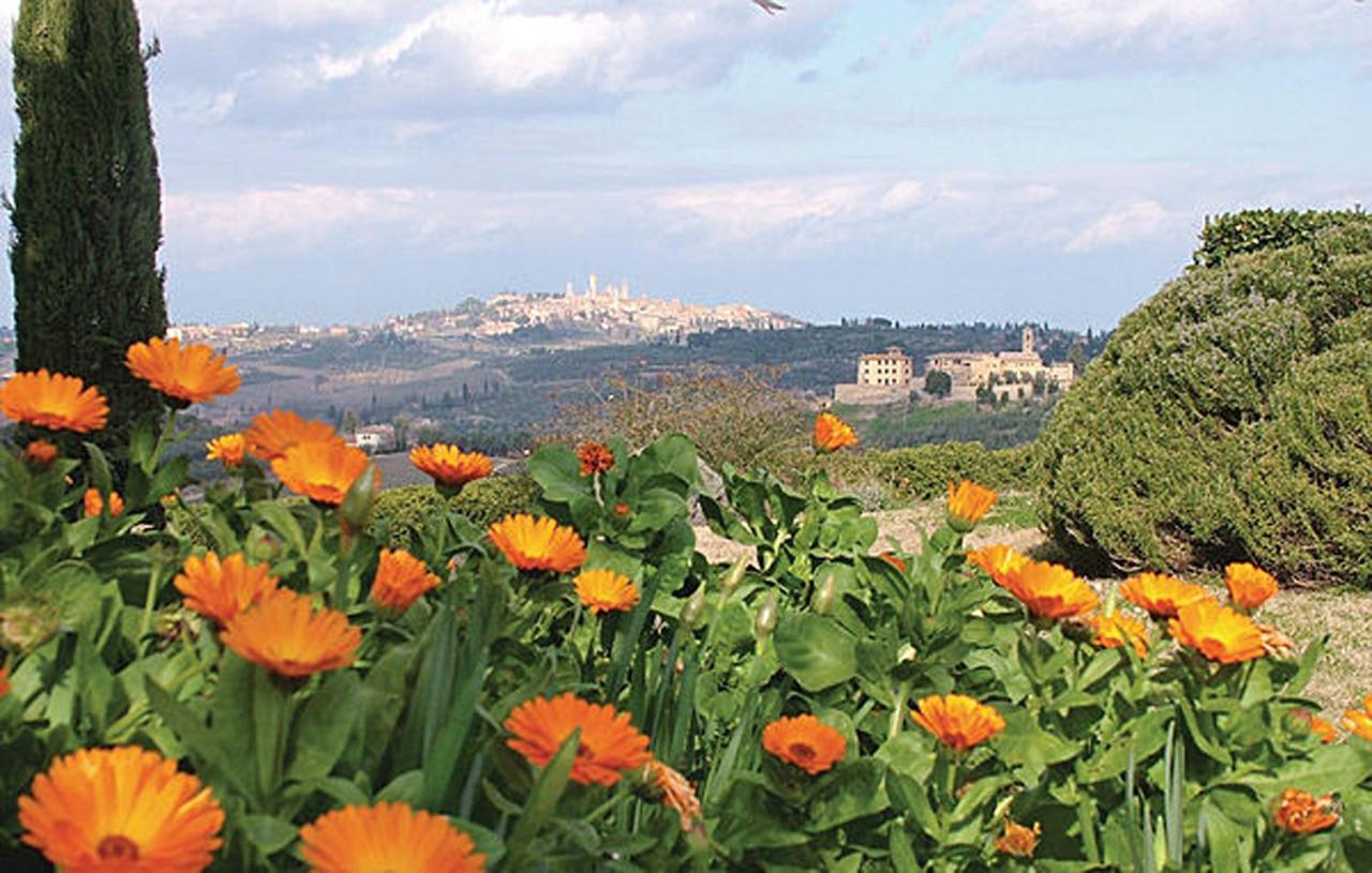 Agriturismo Fattoria Il Piano - Appartamento Antica Cucina - San Gimignano Buitenkant foto